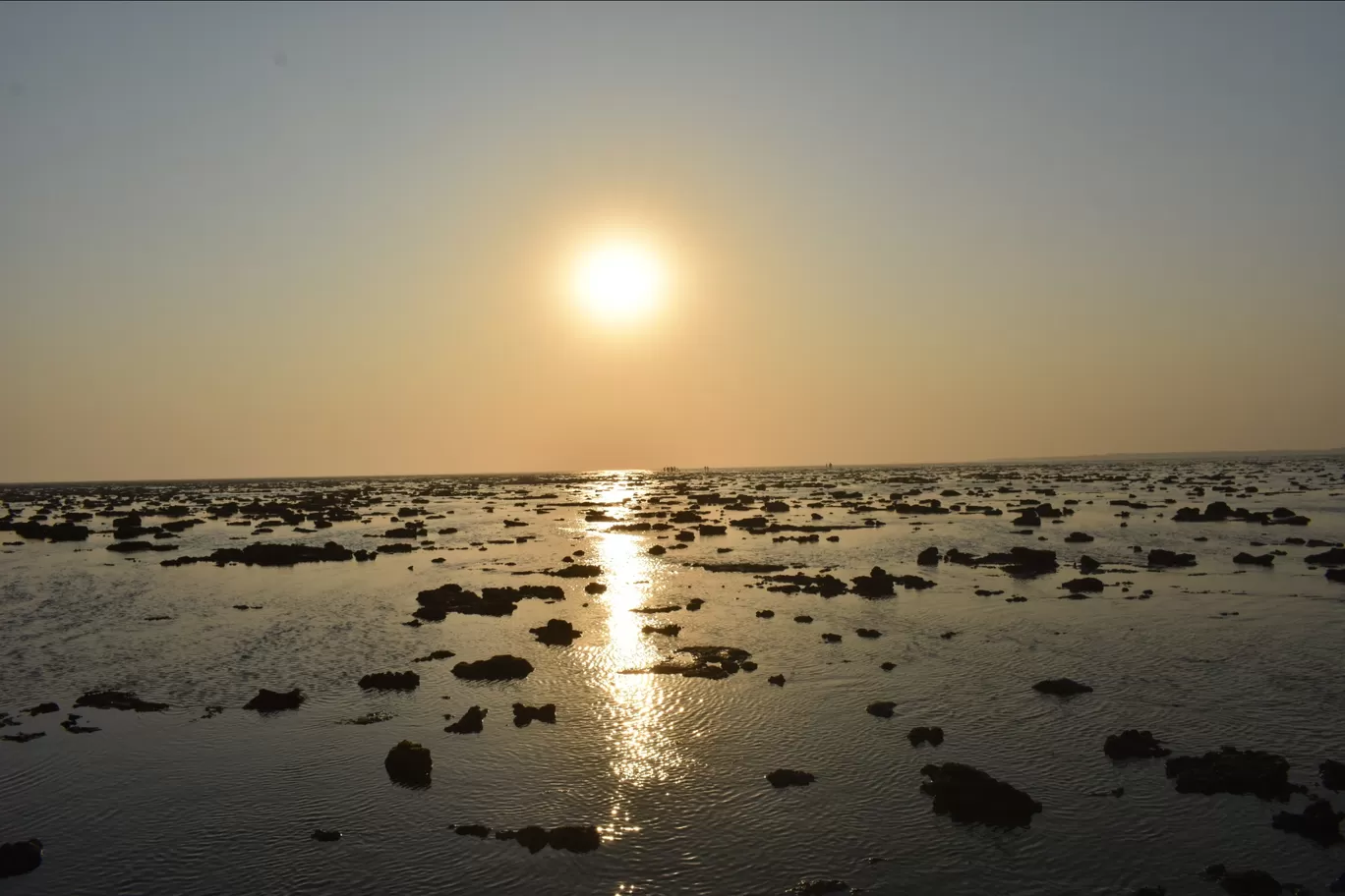 Photo of Narara Marine National Park-Jamnagar By Divyanshu Bhatia