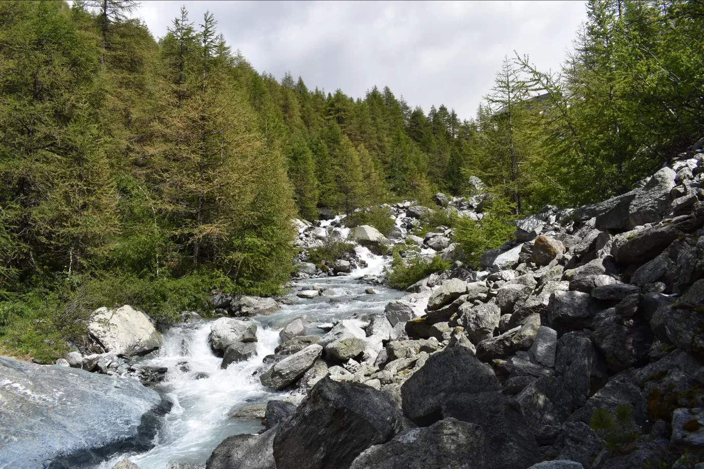 Photo of Zermatt By Divyanshu Bhatia