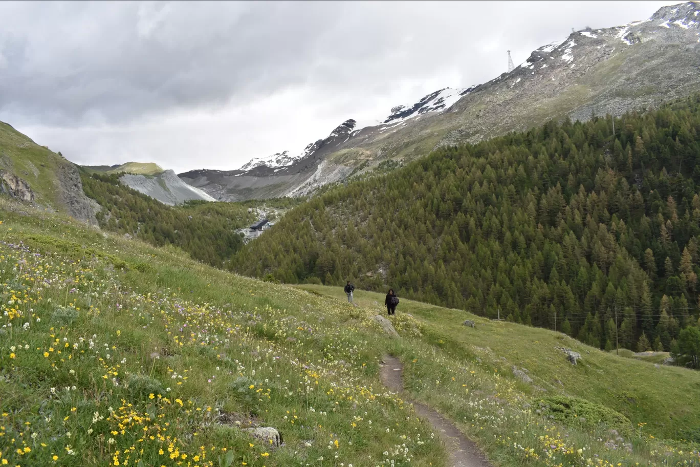 Photo of Zermatt By Divyanshu Bhatia