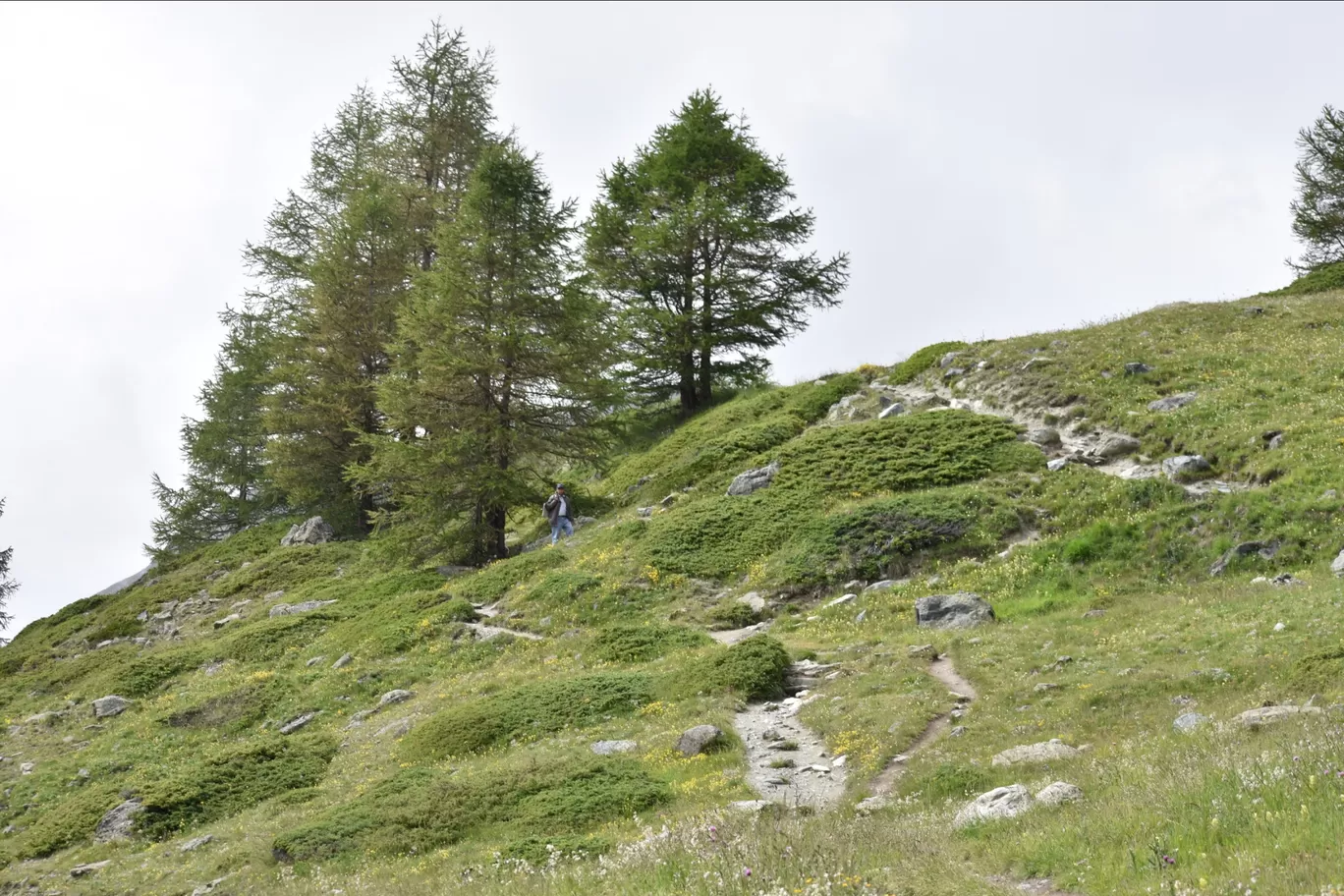 Photo of Zermatt By Divyanshu Bhatia