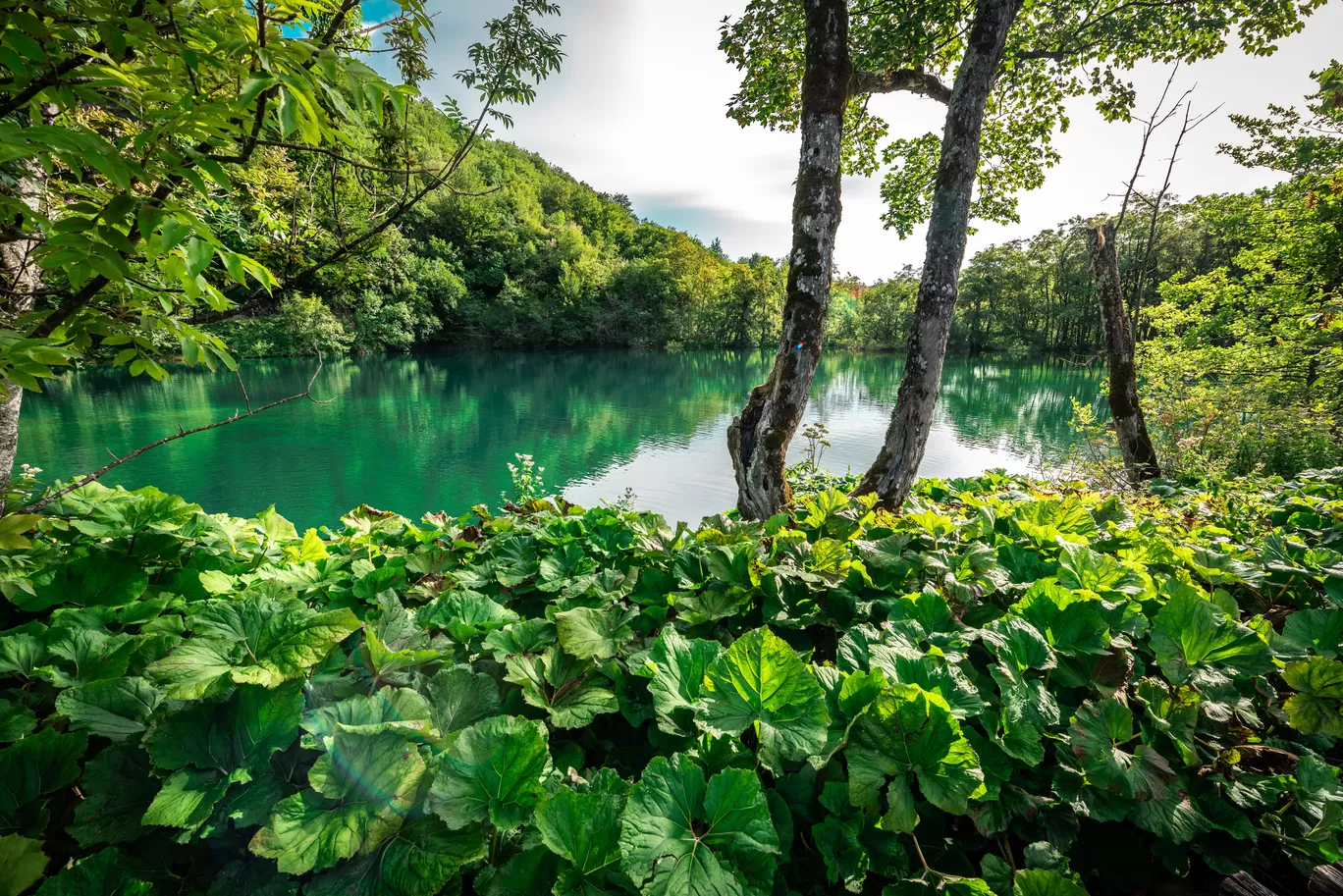 Photo of Plitvice Lakes National Park By Ishita Dharnidharka