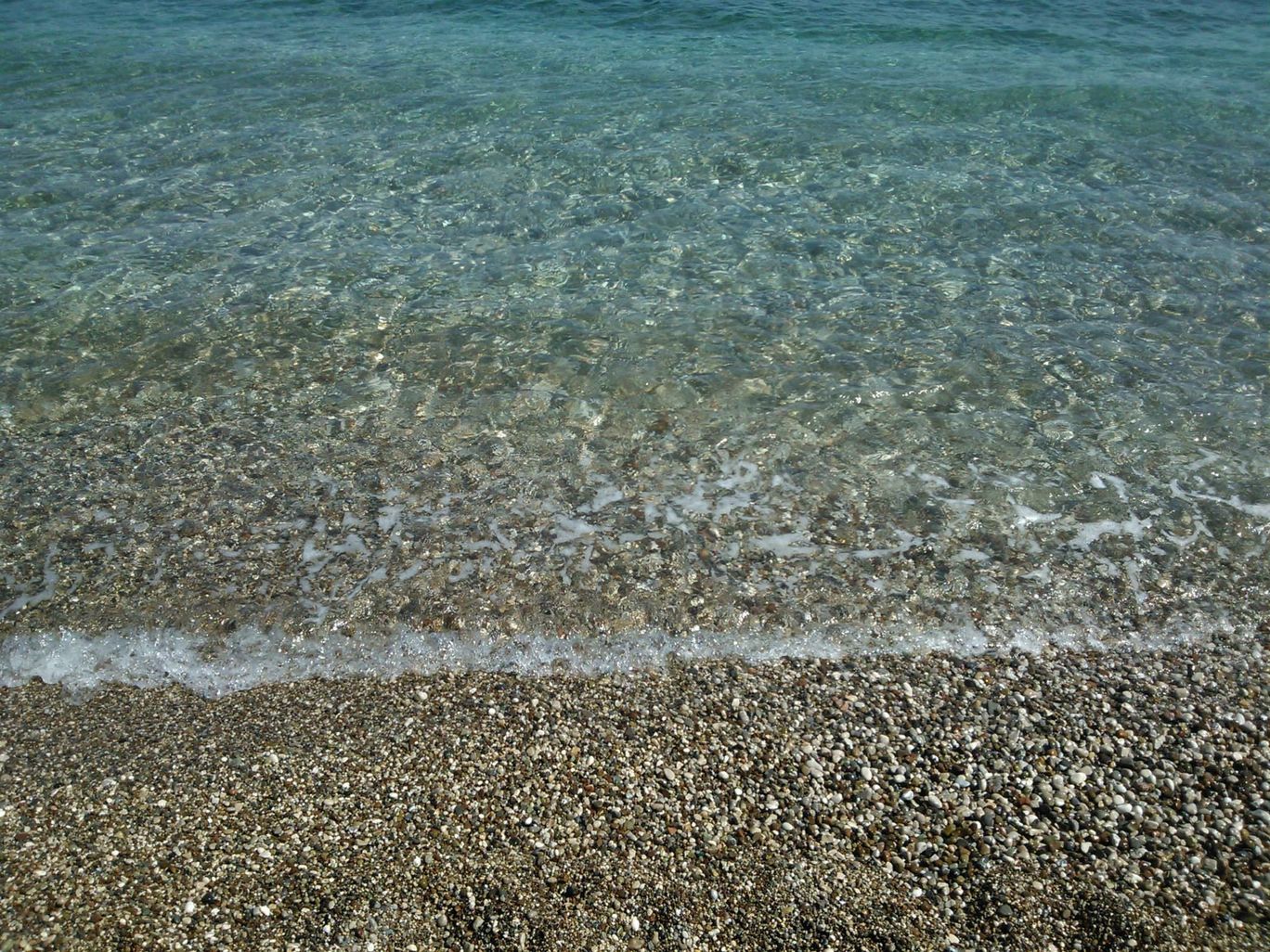 Photo of Lurking in Turkey By Sandhya Kannan