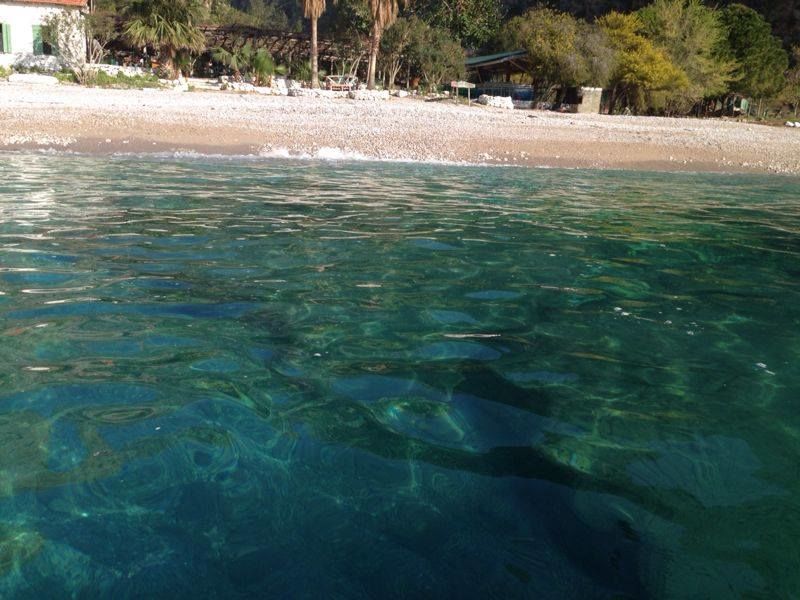 Photo of Lurking in Turkey By Sandhya Kannan