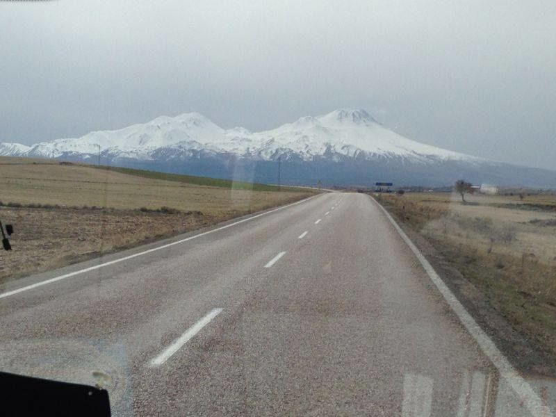 Photo of Lurking in Turkey By Sandhya Kannan