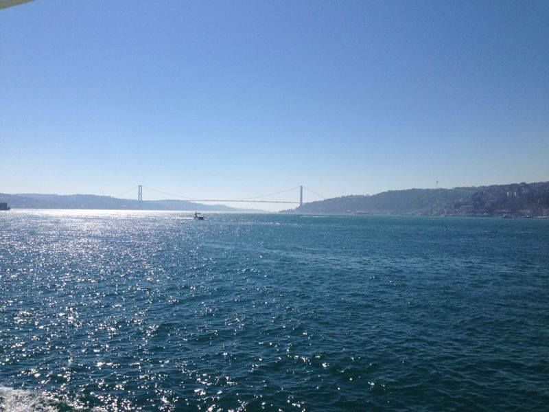 Photo of Lurking in Turkey By Sandhya Kannan