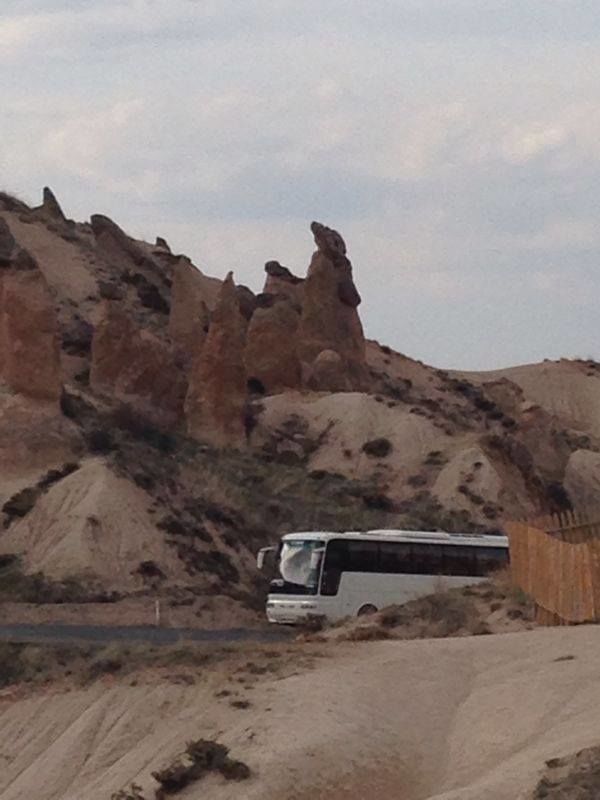Photo of Lurking in Turkey By Sandhya Kannan