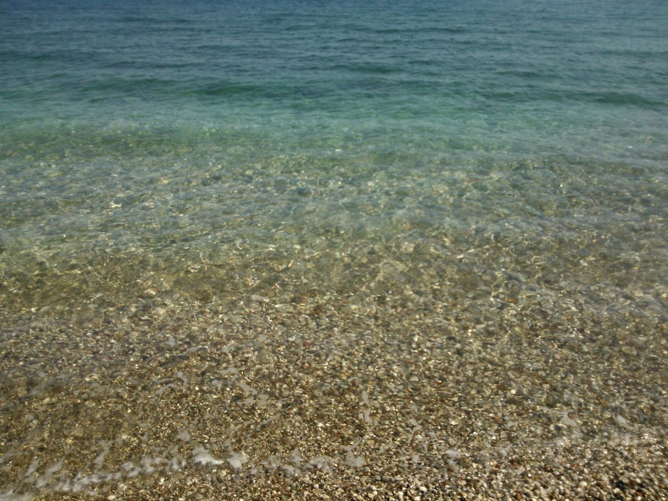 Photo of Lurking in Turkey By Sandhya Kannan