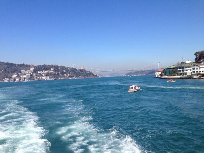 Photo of Lurking in Turkey By Sandhya Kannan