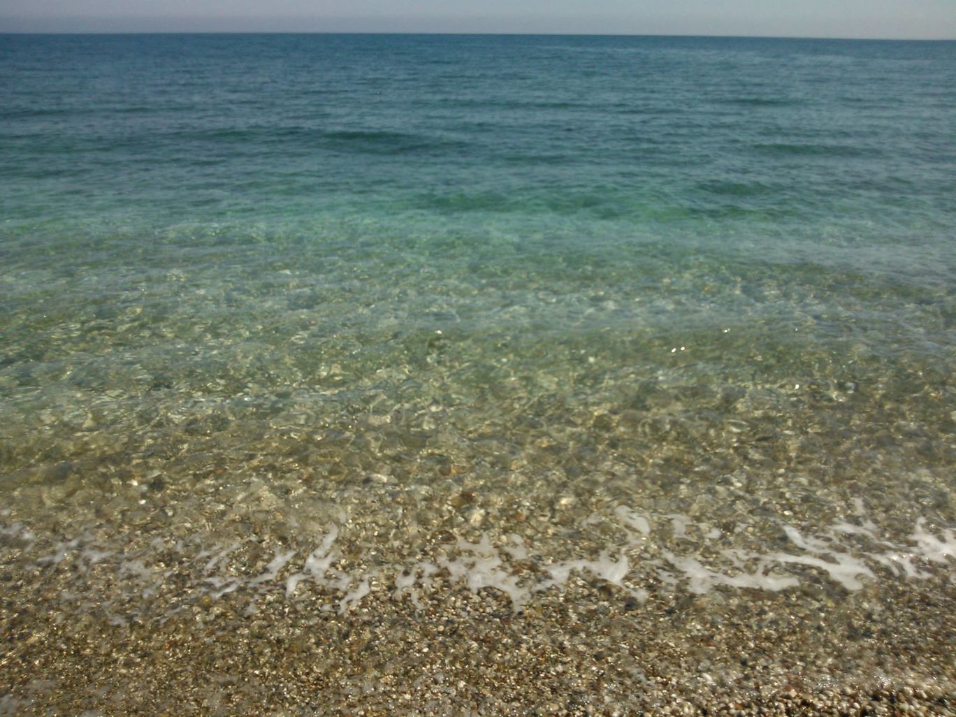 Photo of Lurking in Turkey By Sandhya Kannan