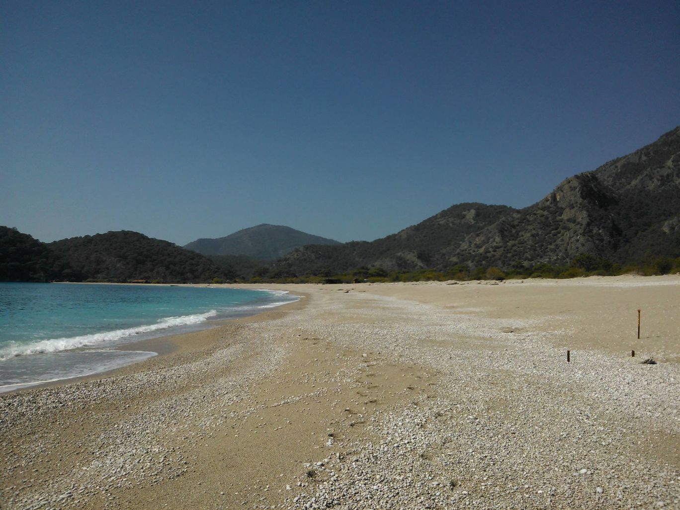 Photo of Lurking in Turkey By Sandhya Kannan