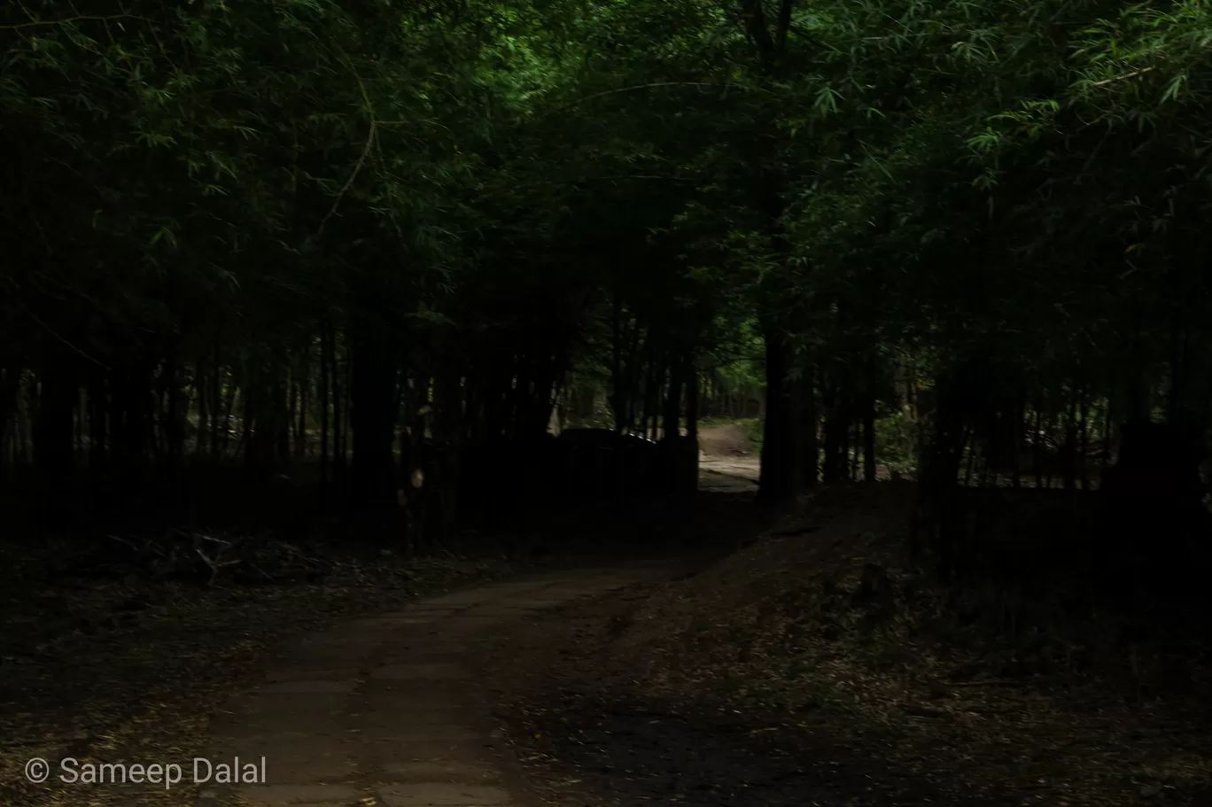 Photo of Coorg By Sameep Dalal