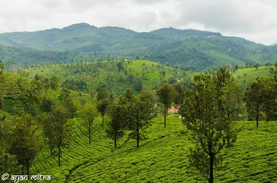 Photo of Coonoor By Gargi Mitra