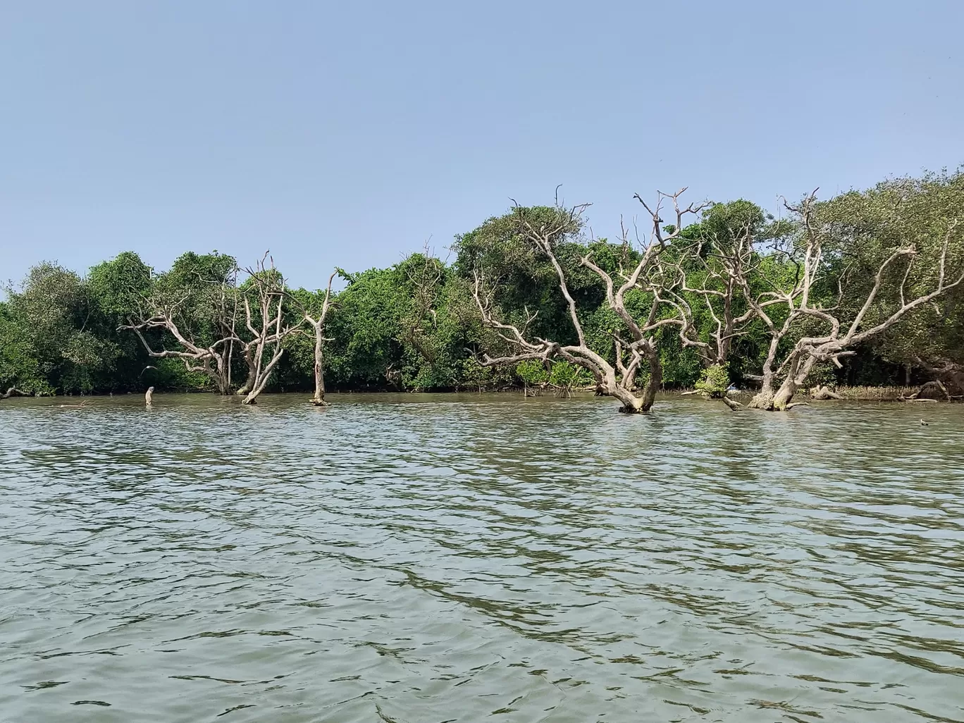 Photo of ISLAND TOURISM KADALUNDI By Nikhil Ravindran