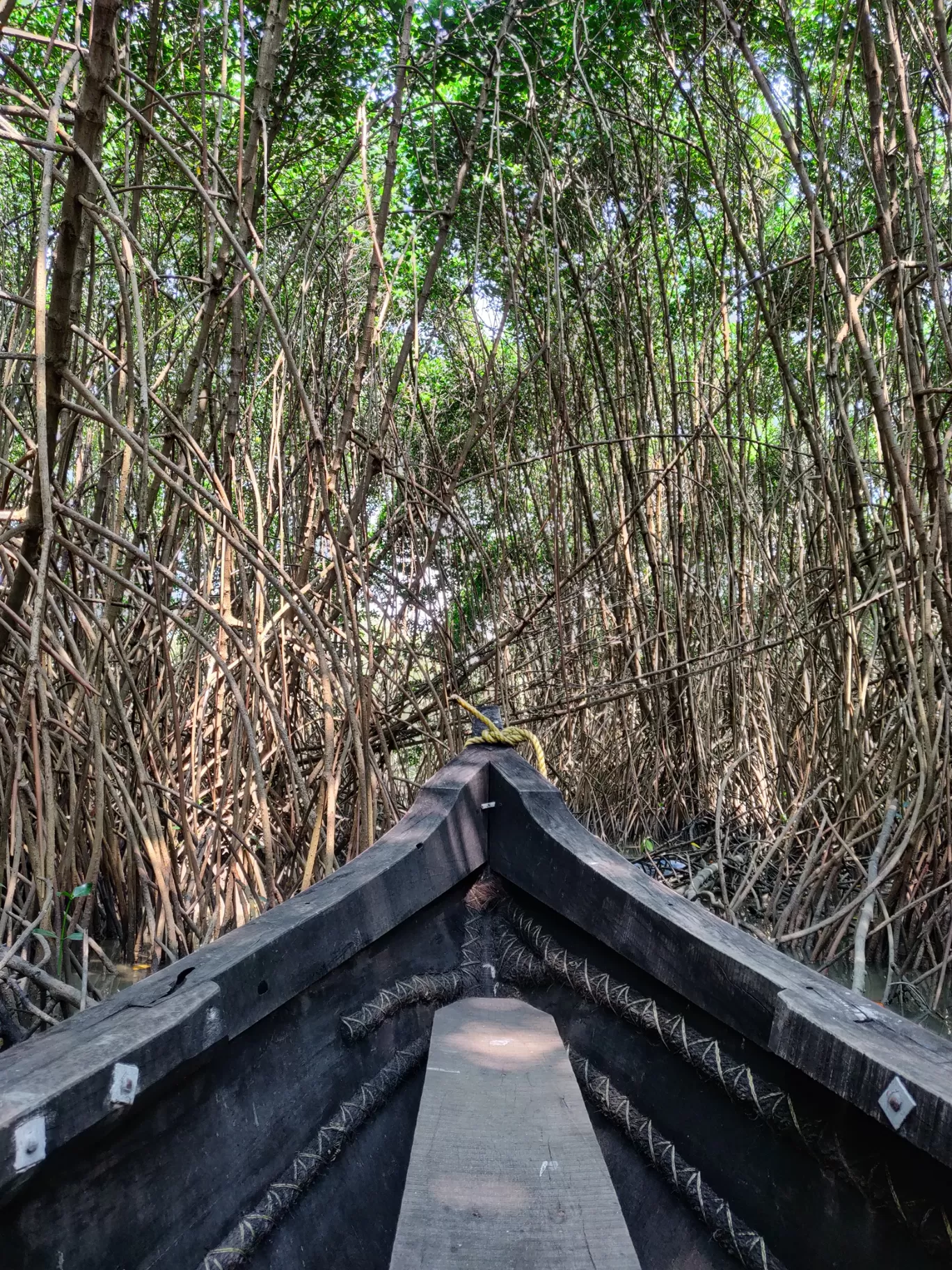 Photo of ISLAND TOURISM KADALUNDI By Nikhil Ravindran