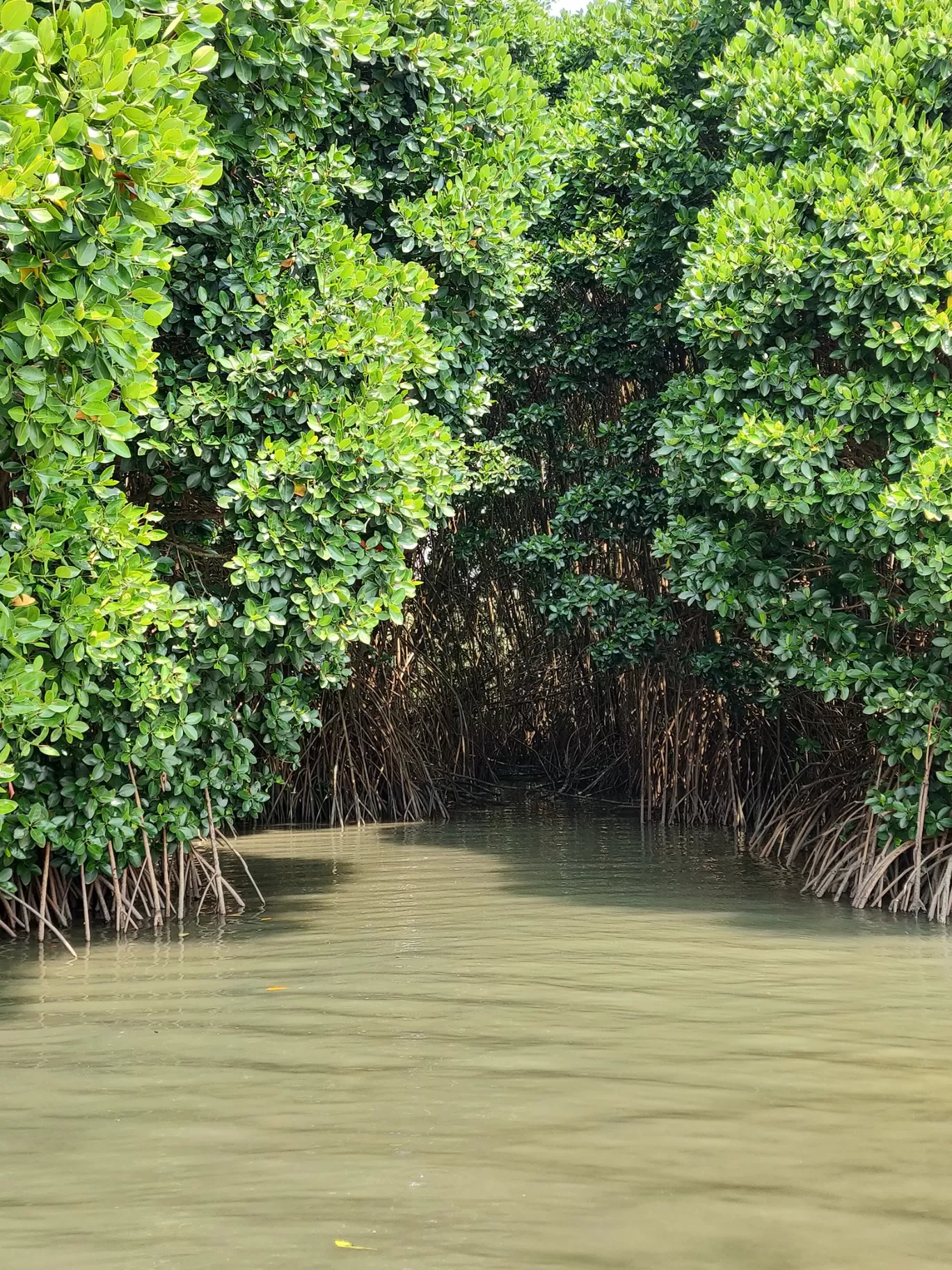 Photo of ISLAND TOURISM KADALUNDI By Nikhil Ravindran