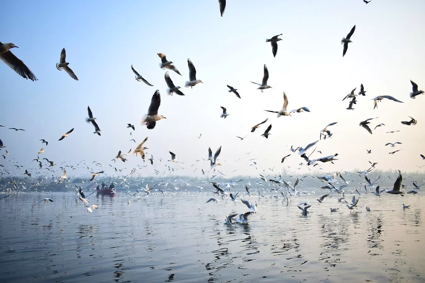 Photo of Yamuna Ghat By Mayank Madaan
