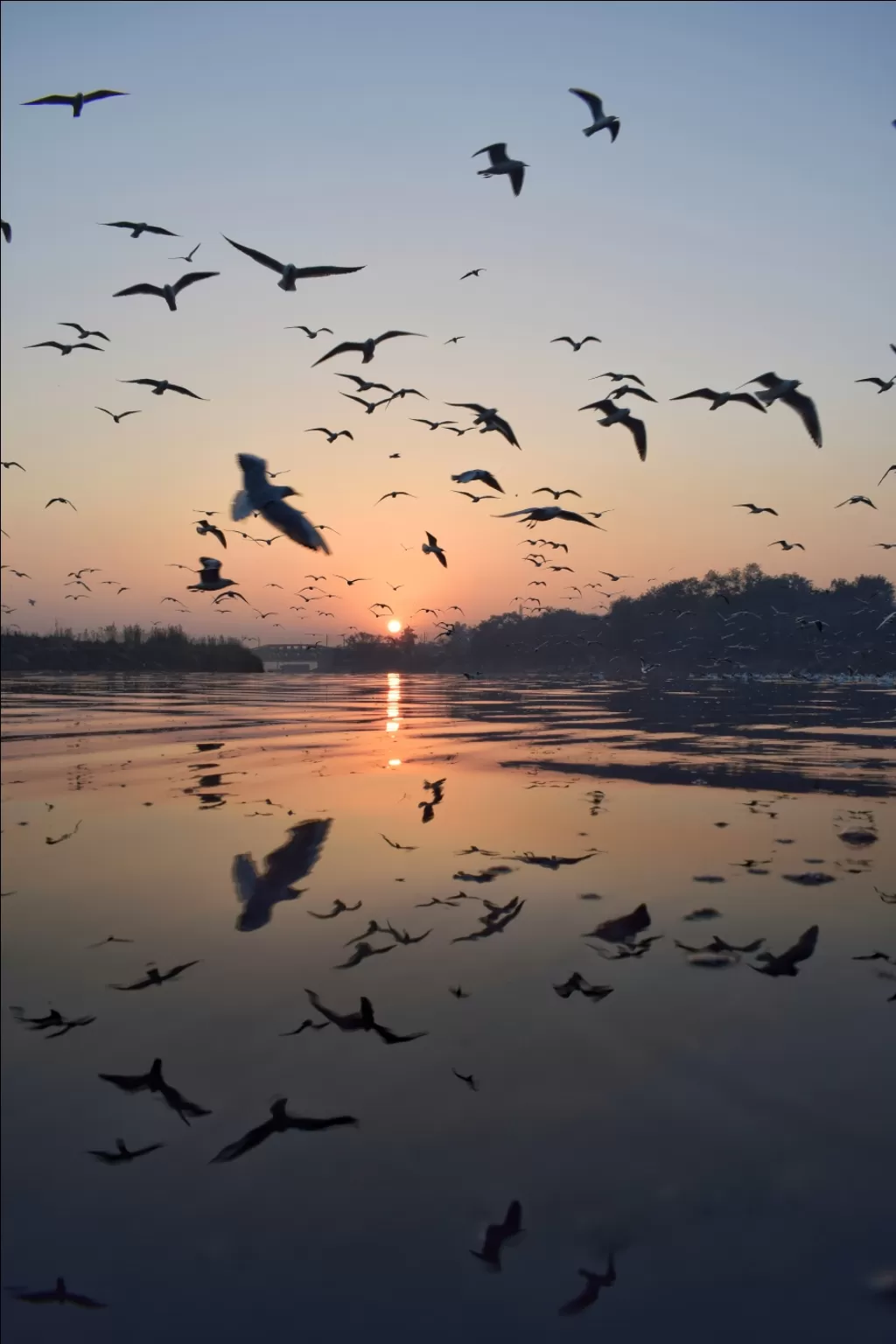 Photo of Yamuna Ghat By Mayank Madaan