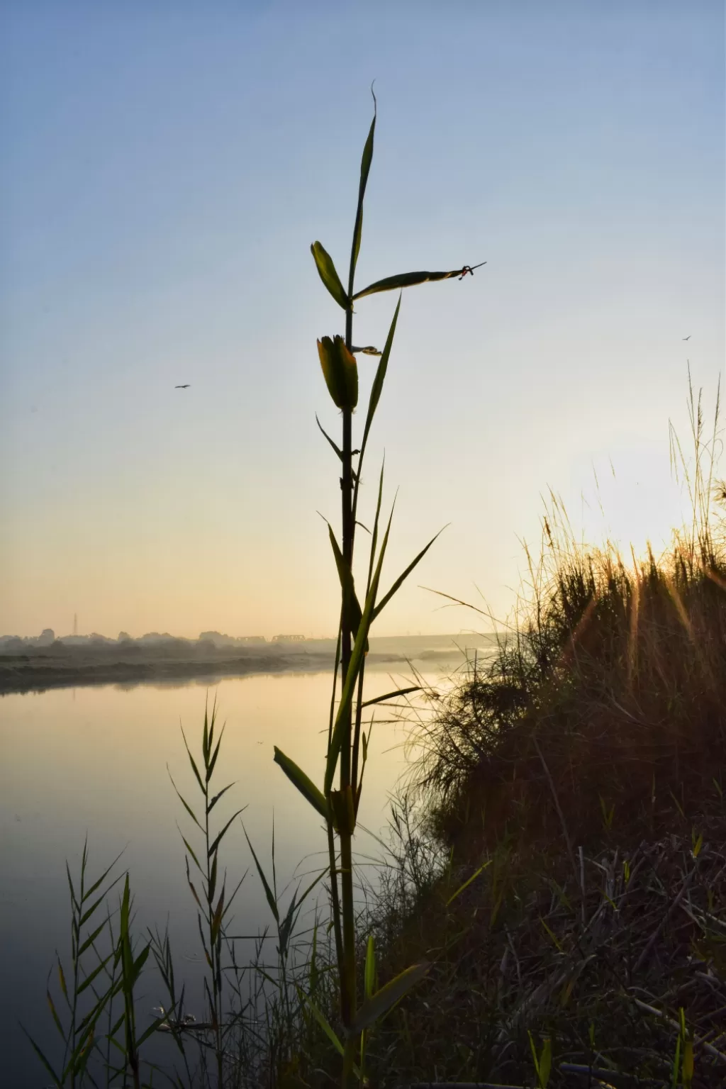 Photo of Yamuna Ghat By Mayank Madaan