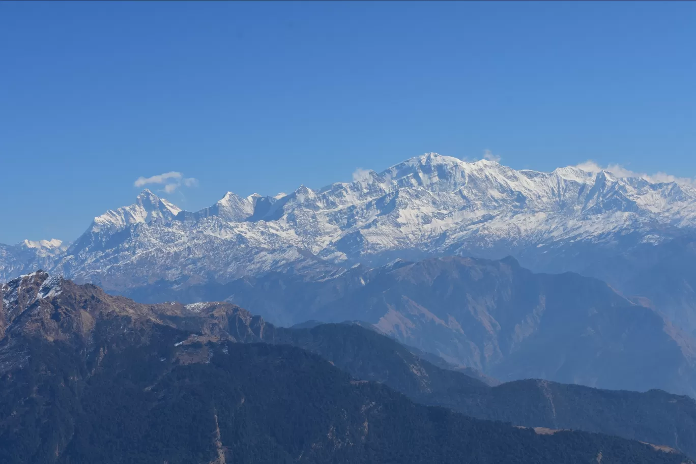 Photo of Chopta Tungnath Chandrashila Trekking By Muneer Ahmad