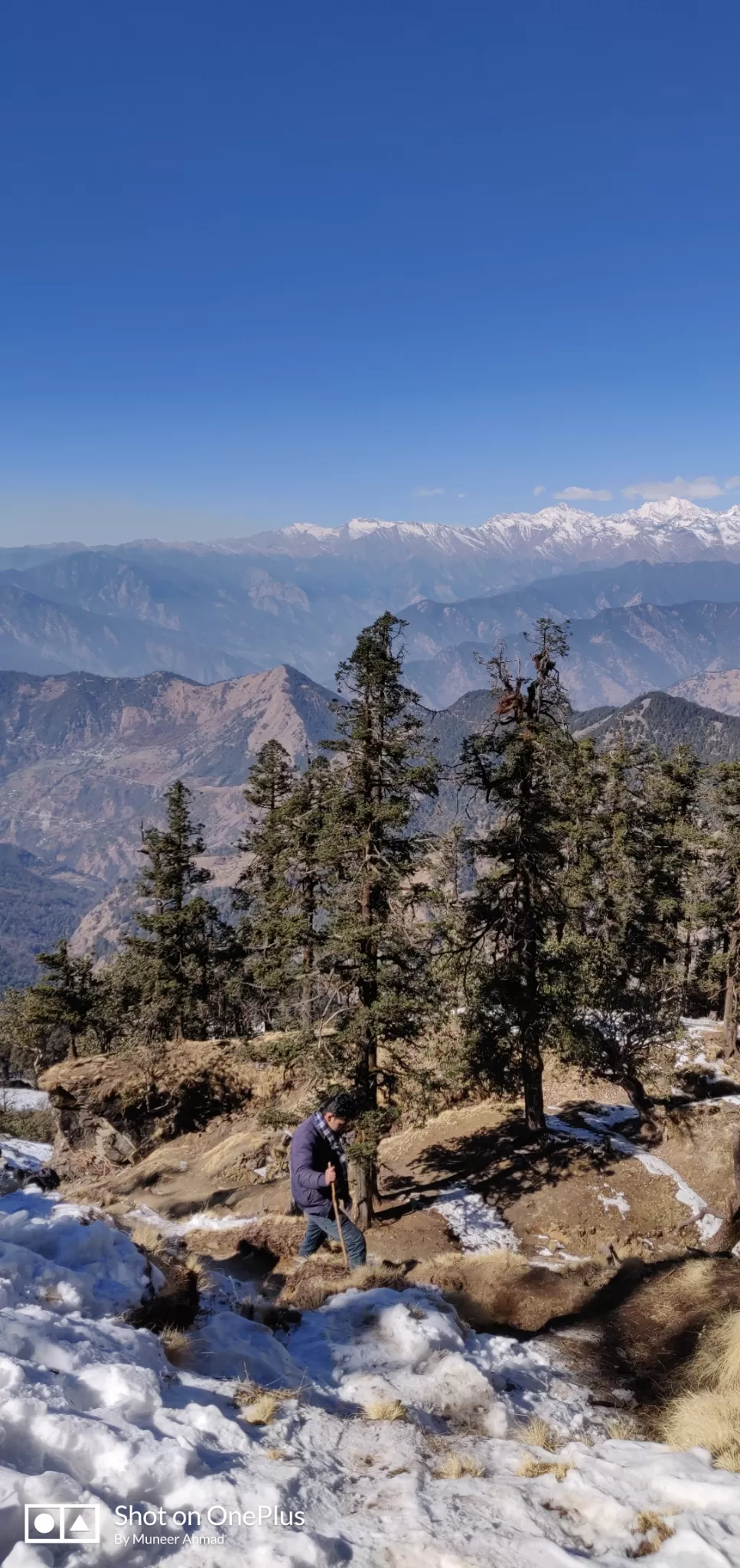 Photo of Chopta Tungnath Chandrashila Trekking By Muneer Ahmad