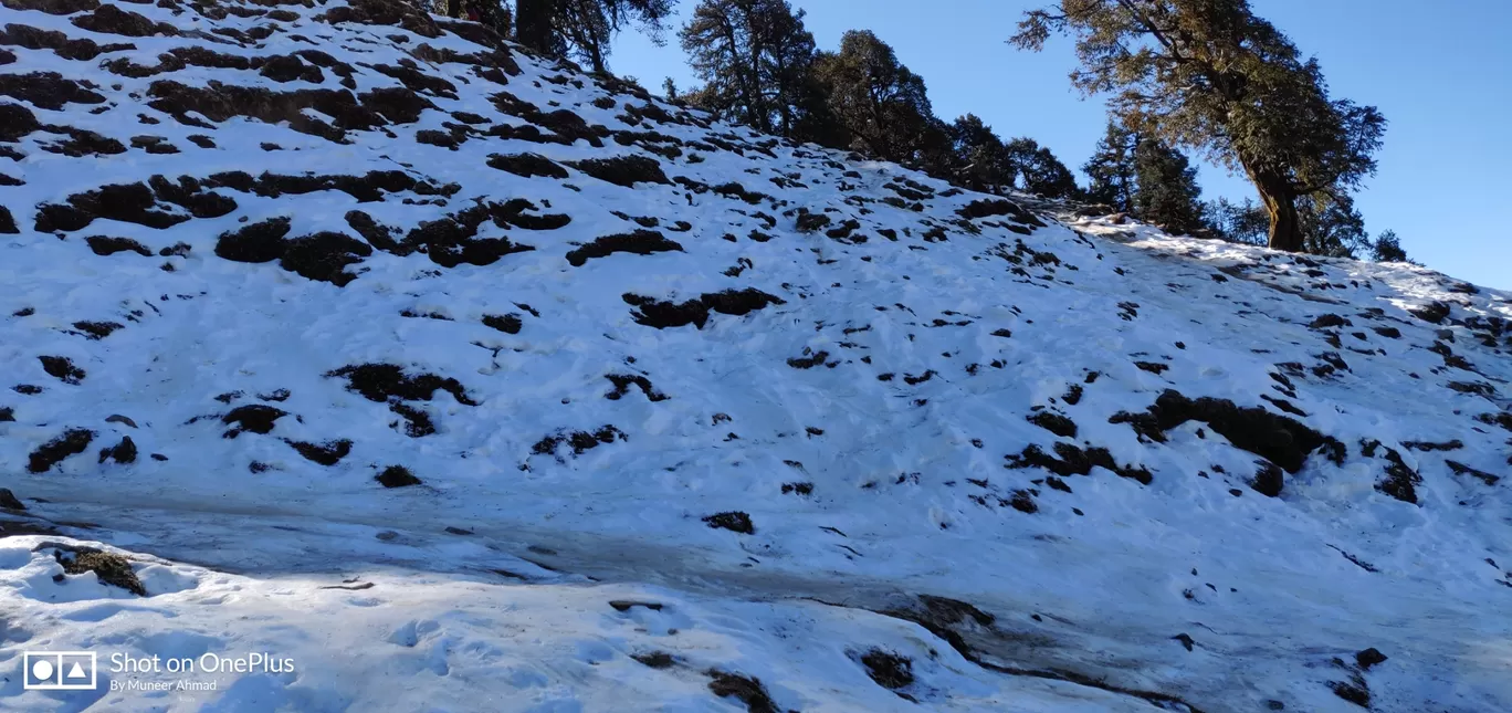 Photo of Chopta Tungnath Chandrashila Trekking By Muneer Ahmad