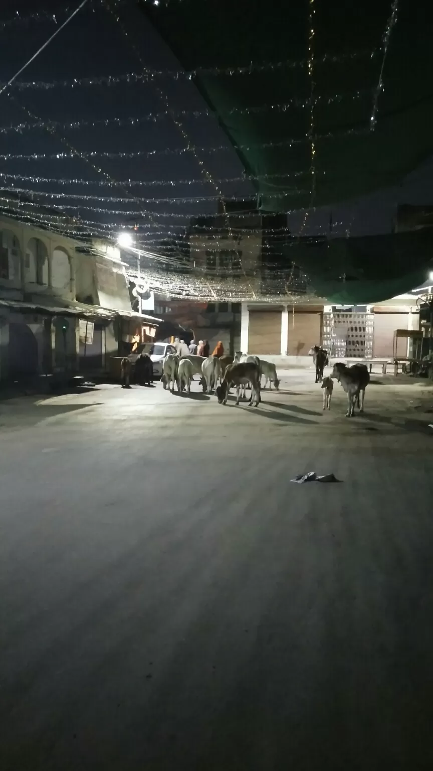 Photo of Pushkar By Tej Bhatt