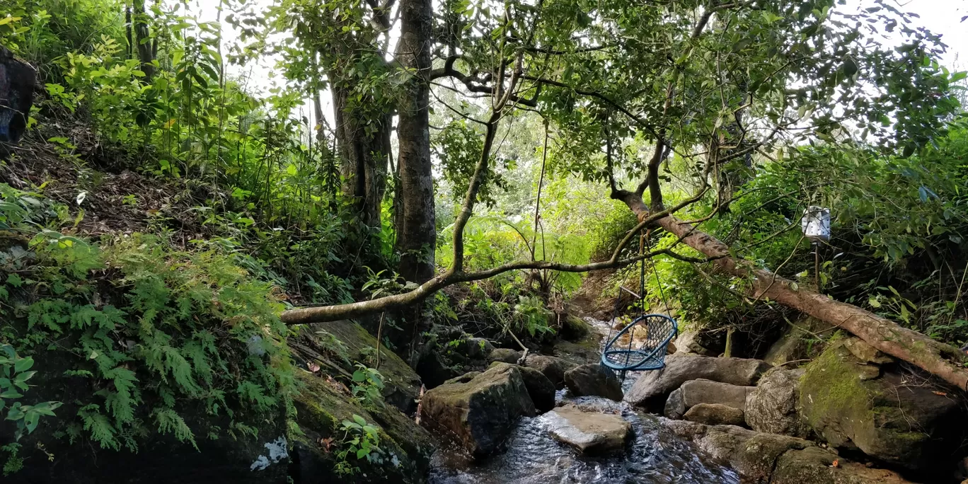 Photo of Munnar By Raihaan Nalakath