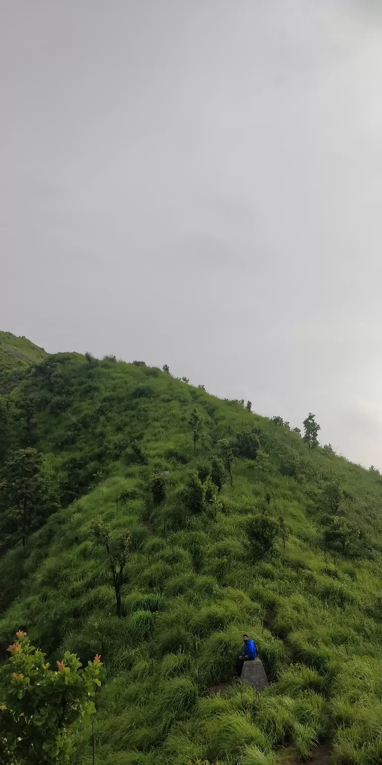 Photo of Willmount By Raihaan Nalakath