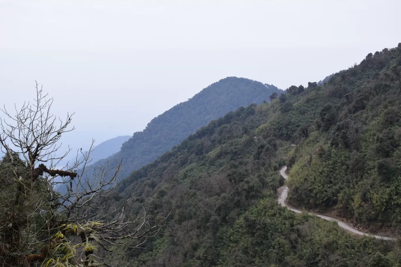 Photo of Mayodiya Ride By NIRUPAM BORGOHAIN 