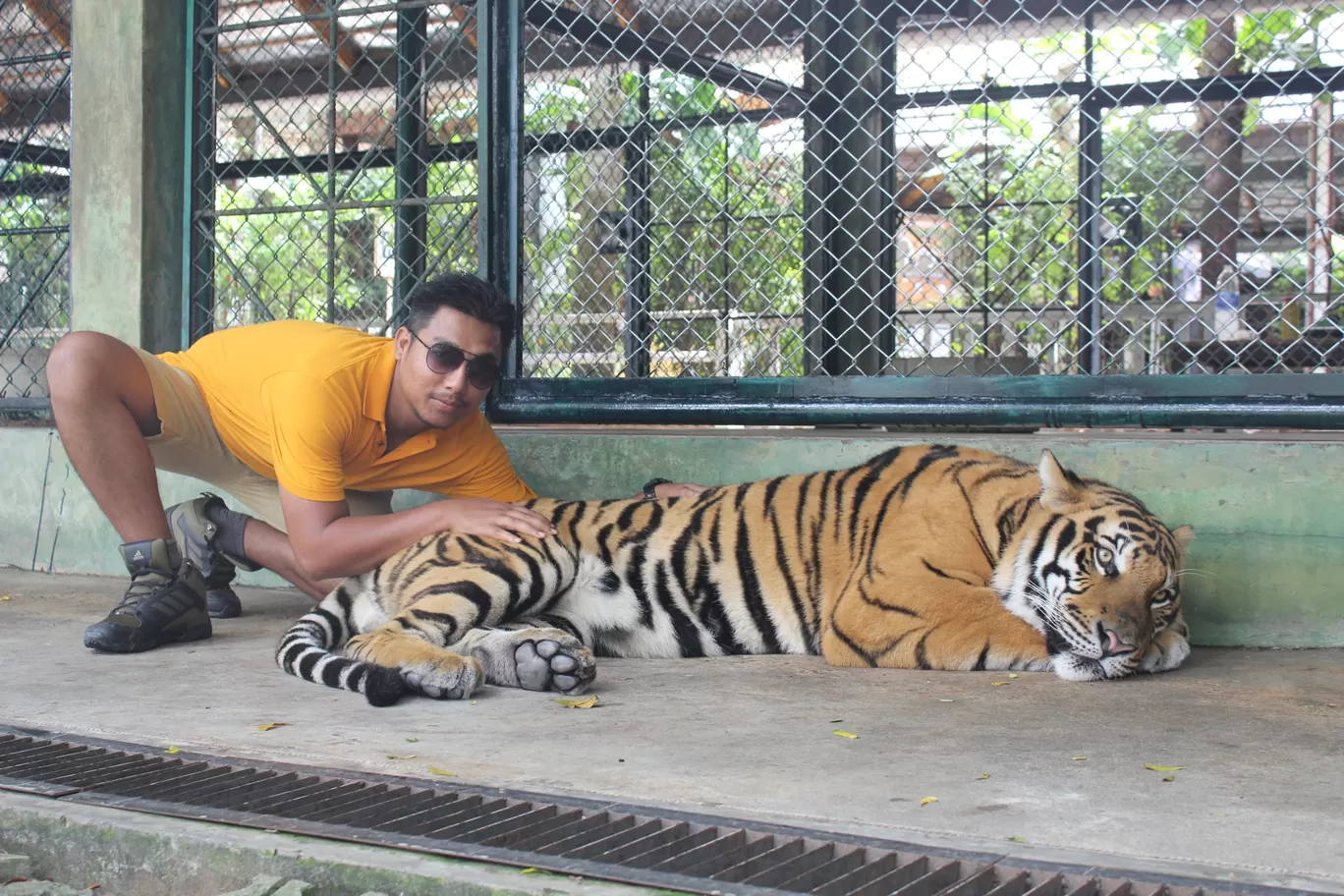 Photo of Tiger kingdom; Phuket By NIRUPAM BORGOHAIN 