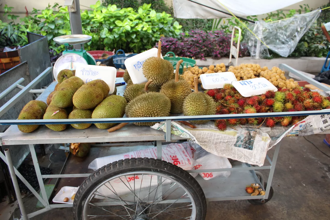 Photo of Chatuchak Weekend Market; Bangkok By NIRUPAM BORGOHAIN 