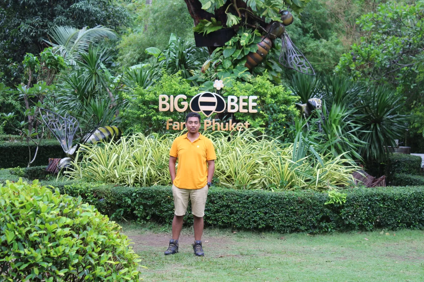 Photo of Big Bee; phuket By NIRUPAM BORGOHAIN 