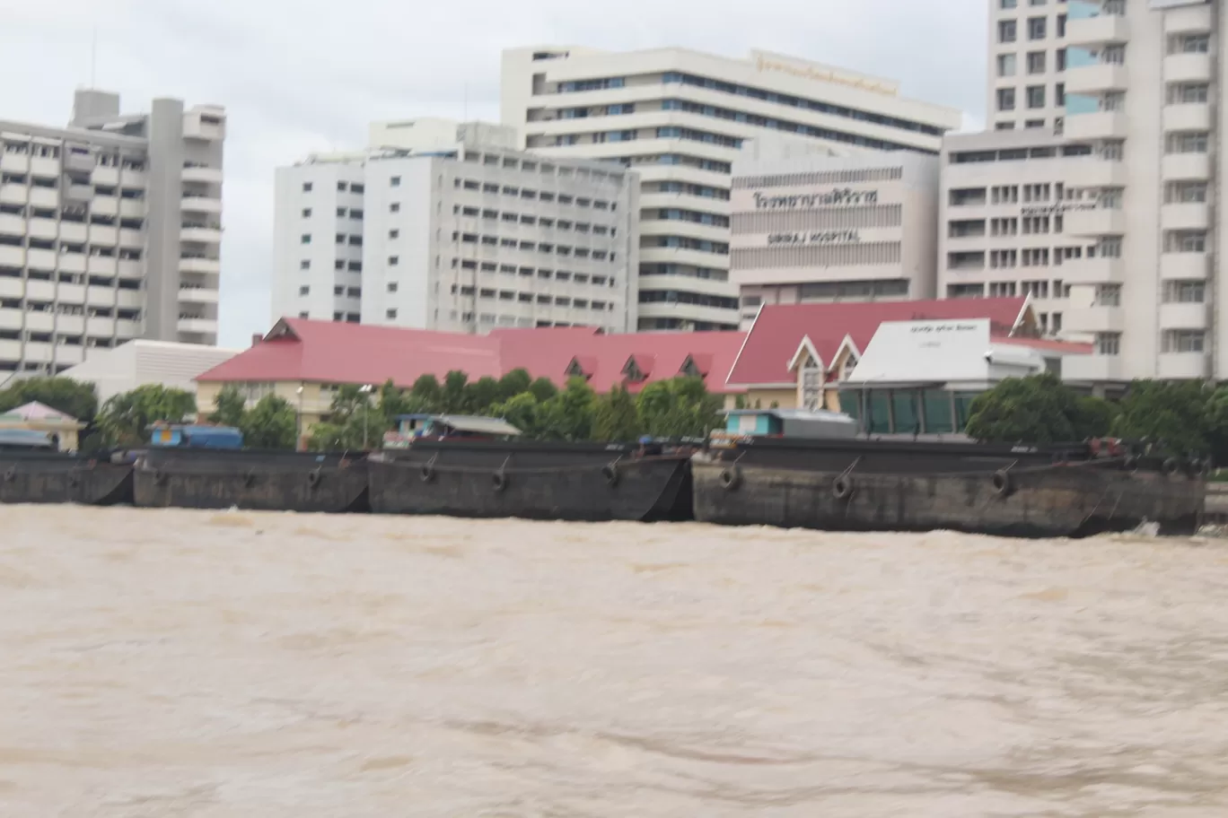 Photo of Chao Phraya River Cruise; Bangkok By NIRUPAM BORGOHAIN 