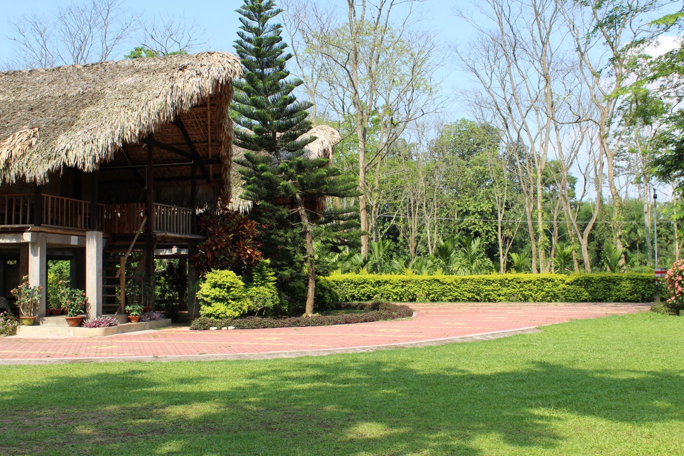 Photo of Singpho Eco Lodge. By NIRUPAM BORGOHAIN 