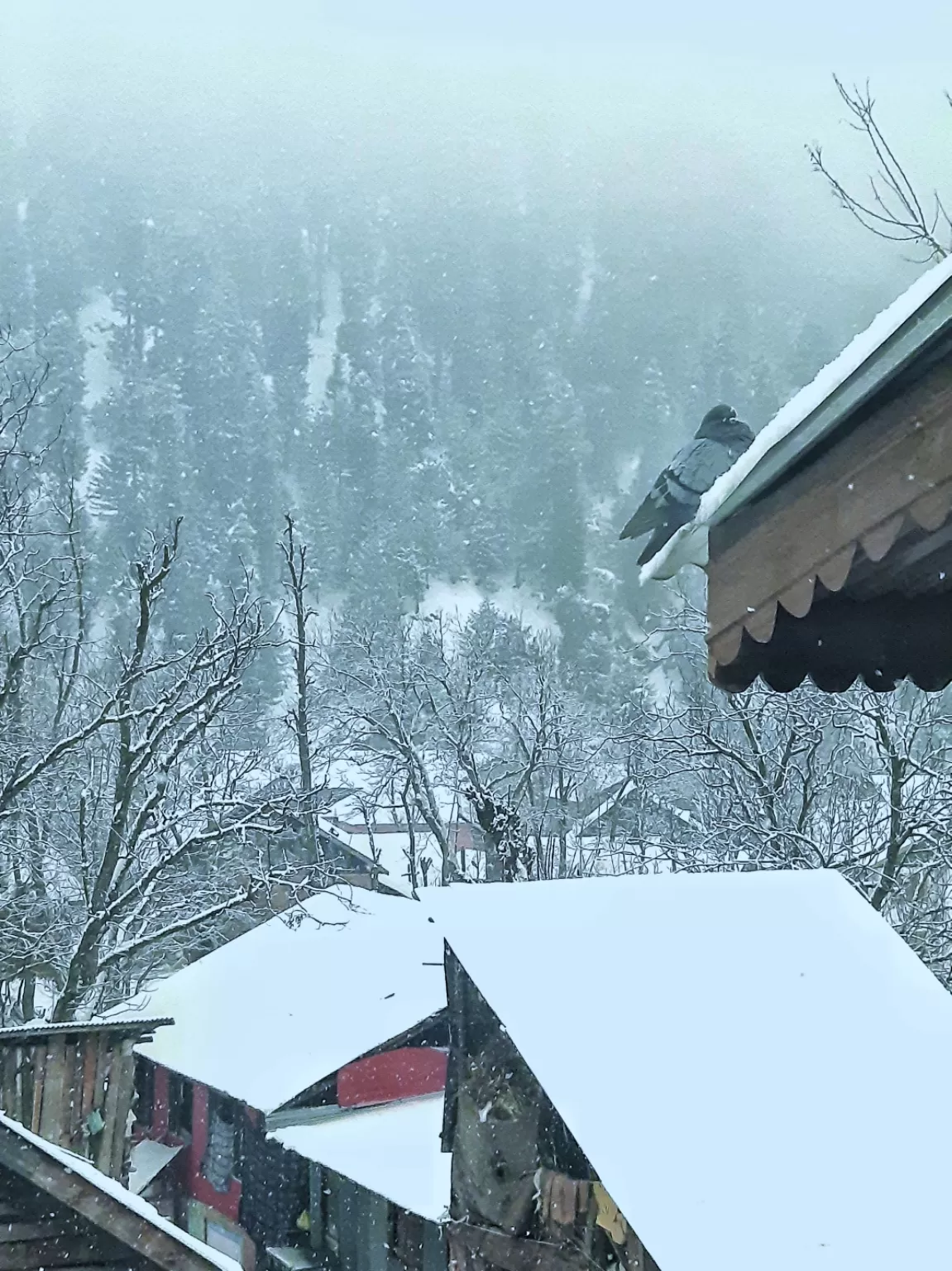 Photo of Pahalgam By Nithin Suresh