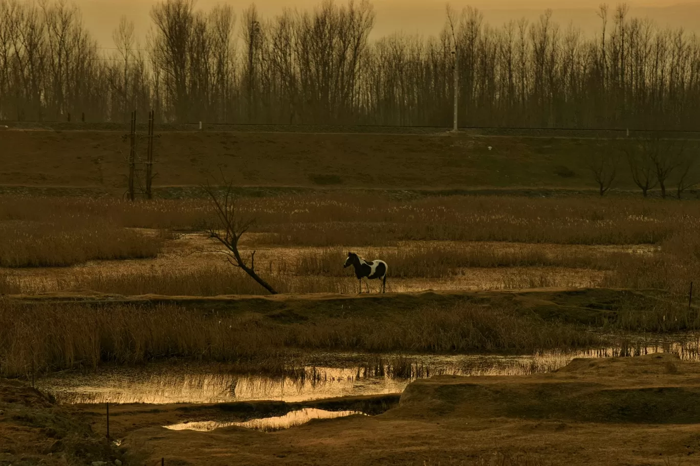 Photo of Anantnag By Nithin Suresh