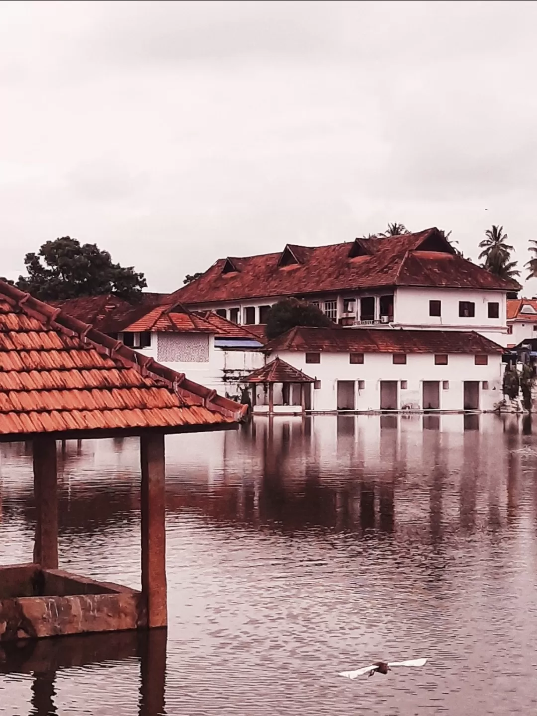 Photo of Sree Padmanabhaswamy Temple By Nithin Suresh