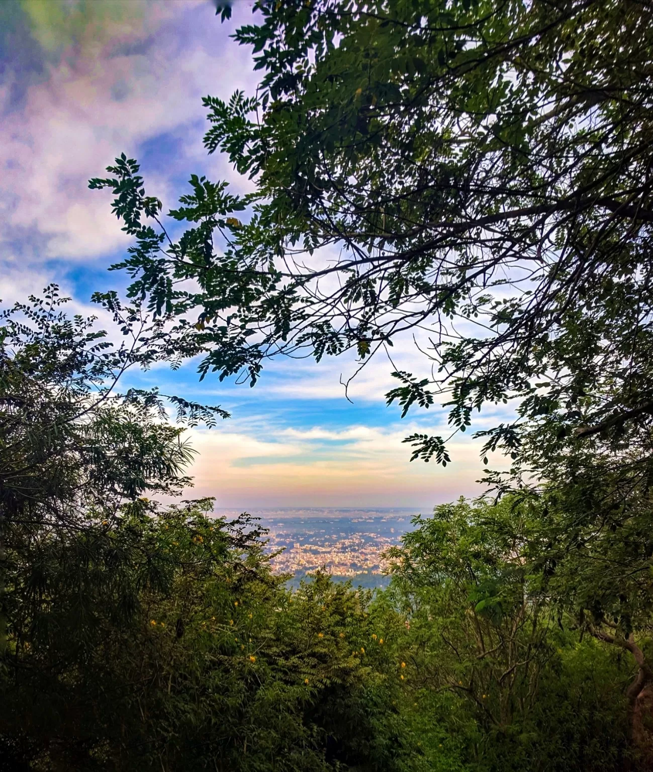 Photo of Mysuru By Shalini Radhakrishnan