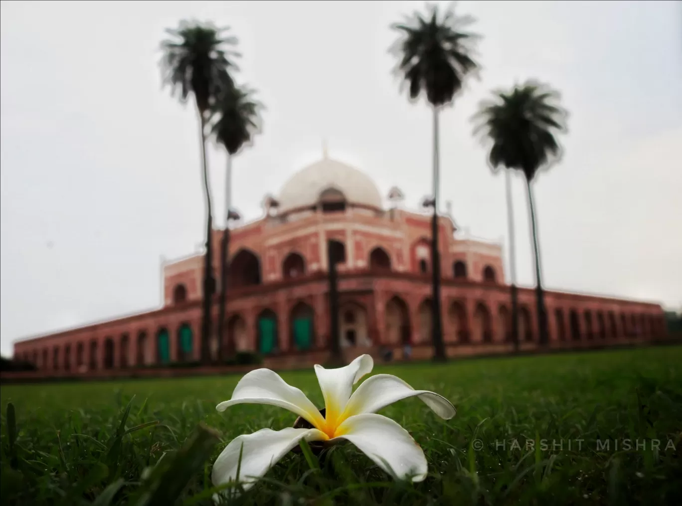 Photo of Delhi By हर्षित मिश्र