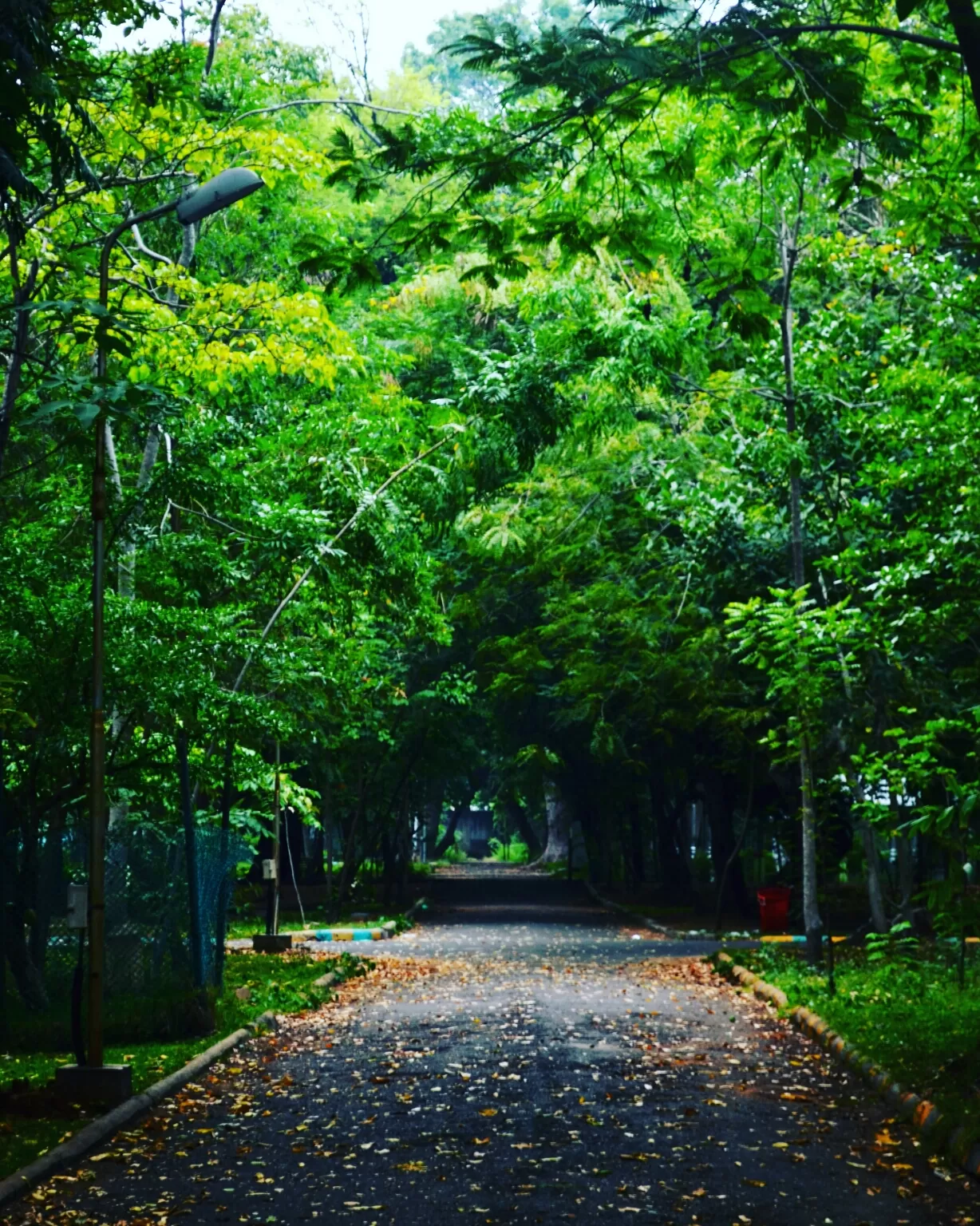 Photo of Pondicherry By Karan Kaushik