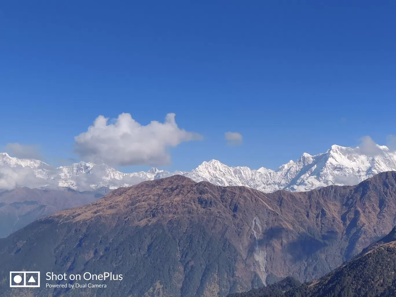 Photo of Chopta Tungnath Chandrashila Trekking By Puneet Arora