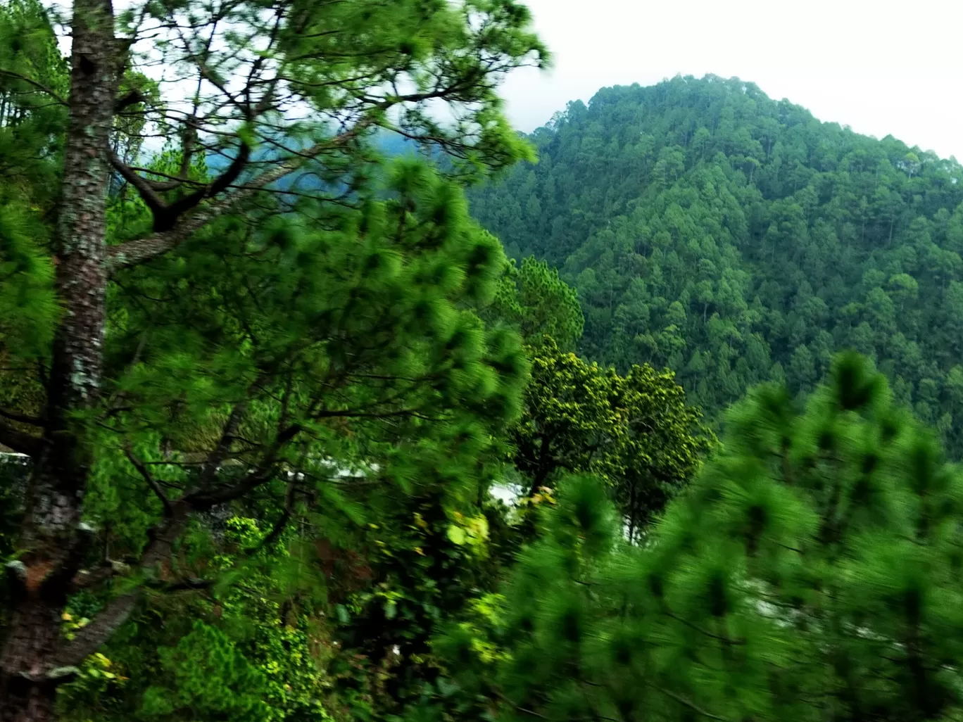 Photo of Nepal By Anubhav Pandey