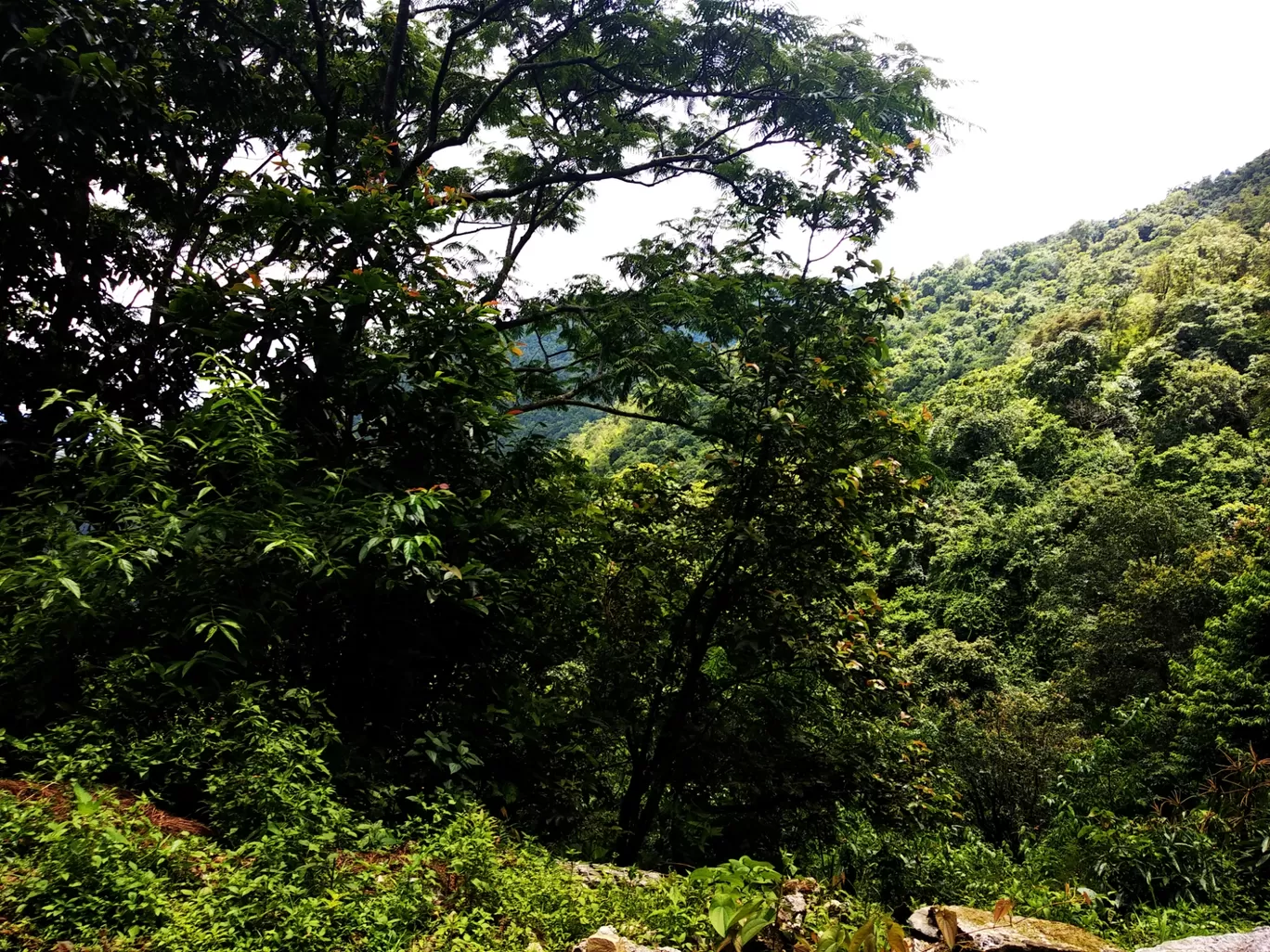 Photo of Nepal By Anubhav Pandey