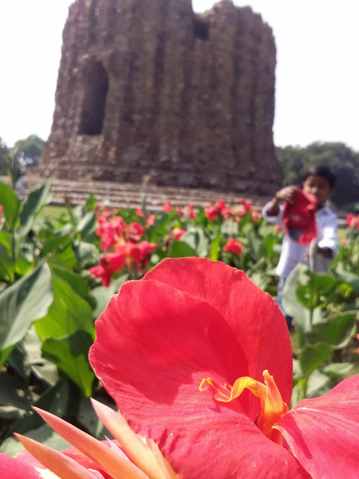Photo of Qutub Complex By Silkey