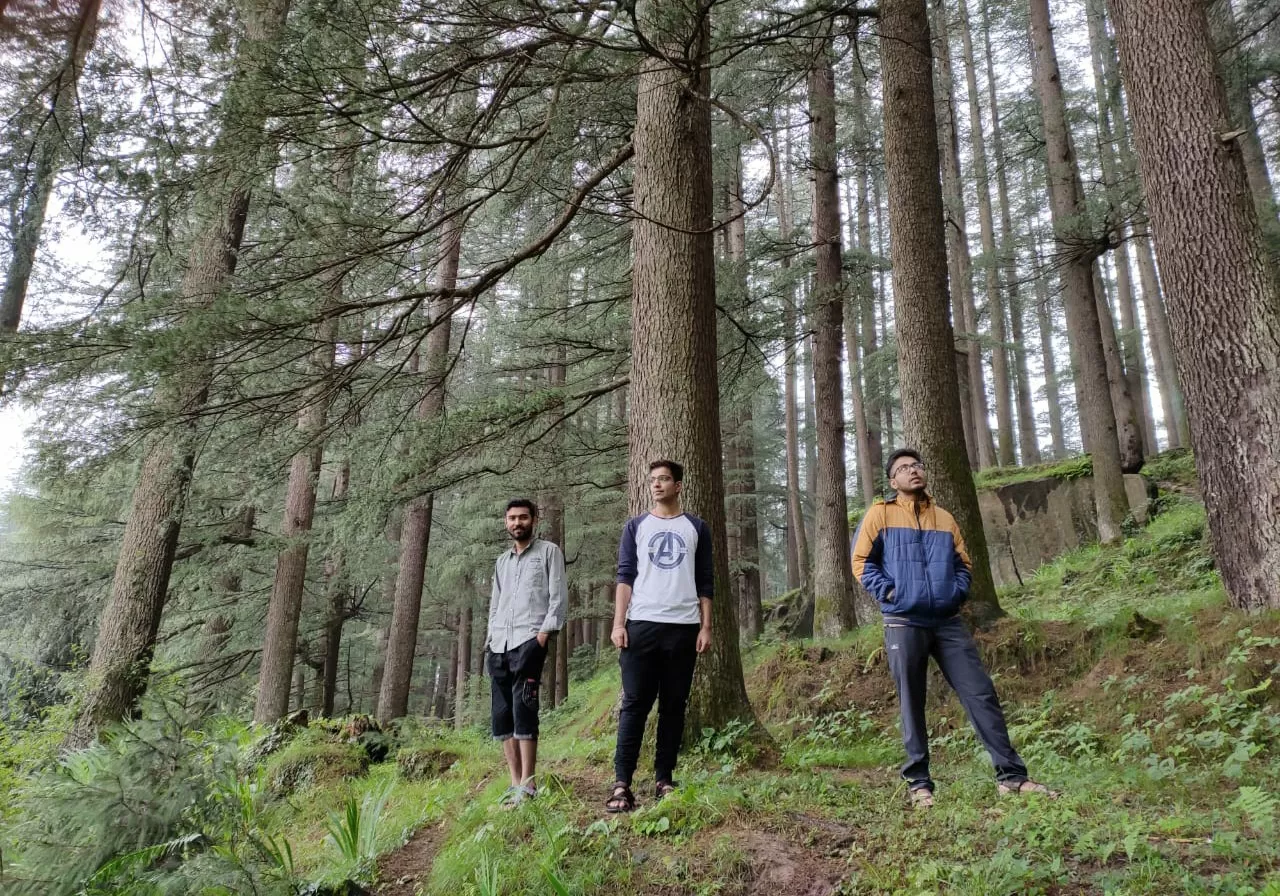 Cover Image of Hitesh Jaisinghani