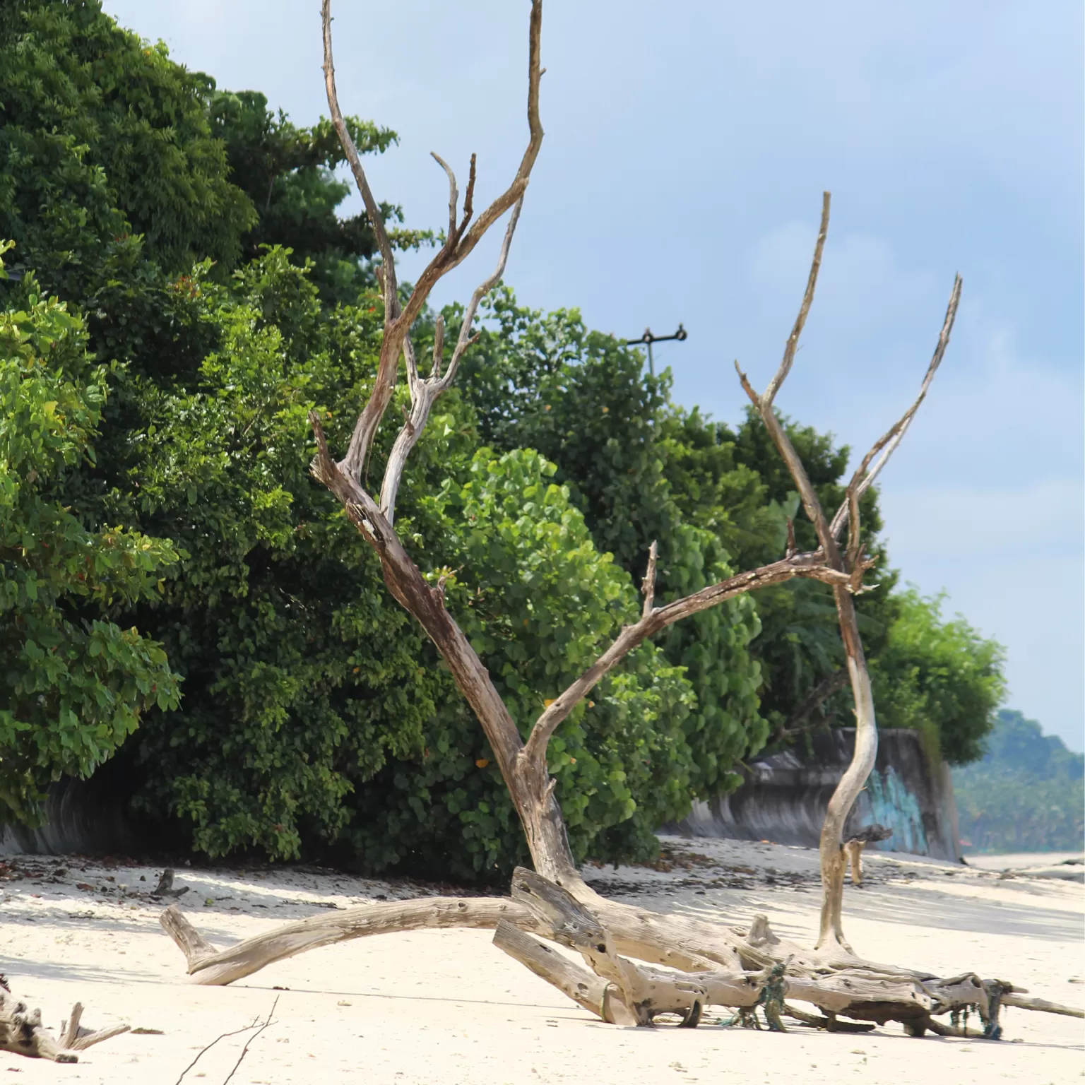 Cover Image of Arvind Prabhakar 