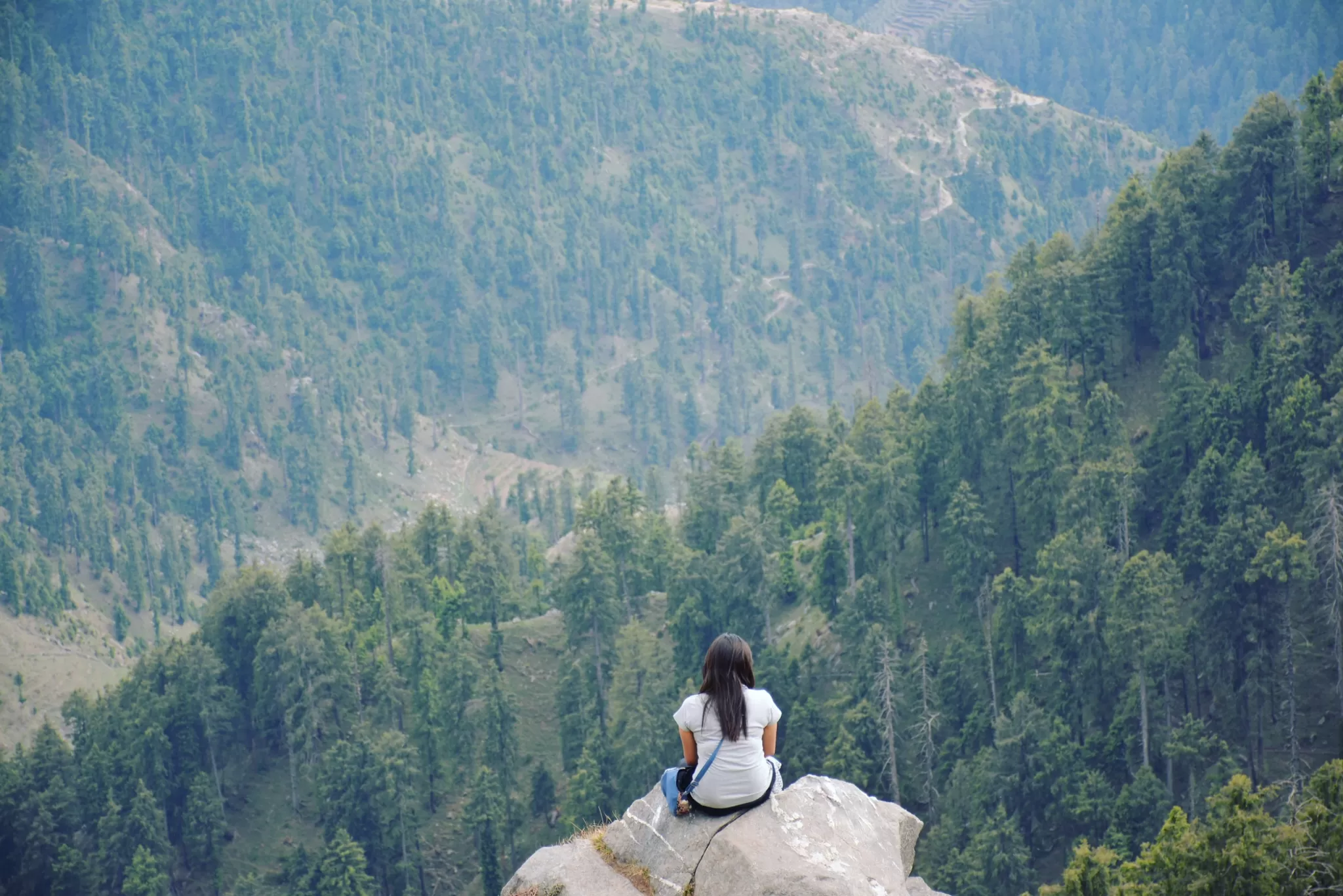 Cover Image of Meghali Ghosh