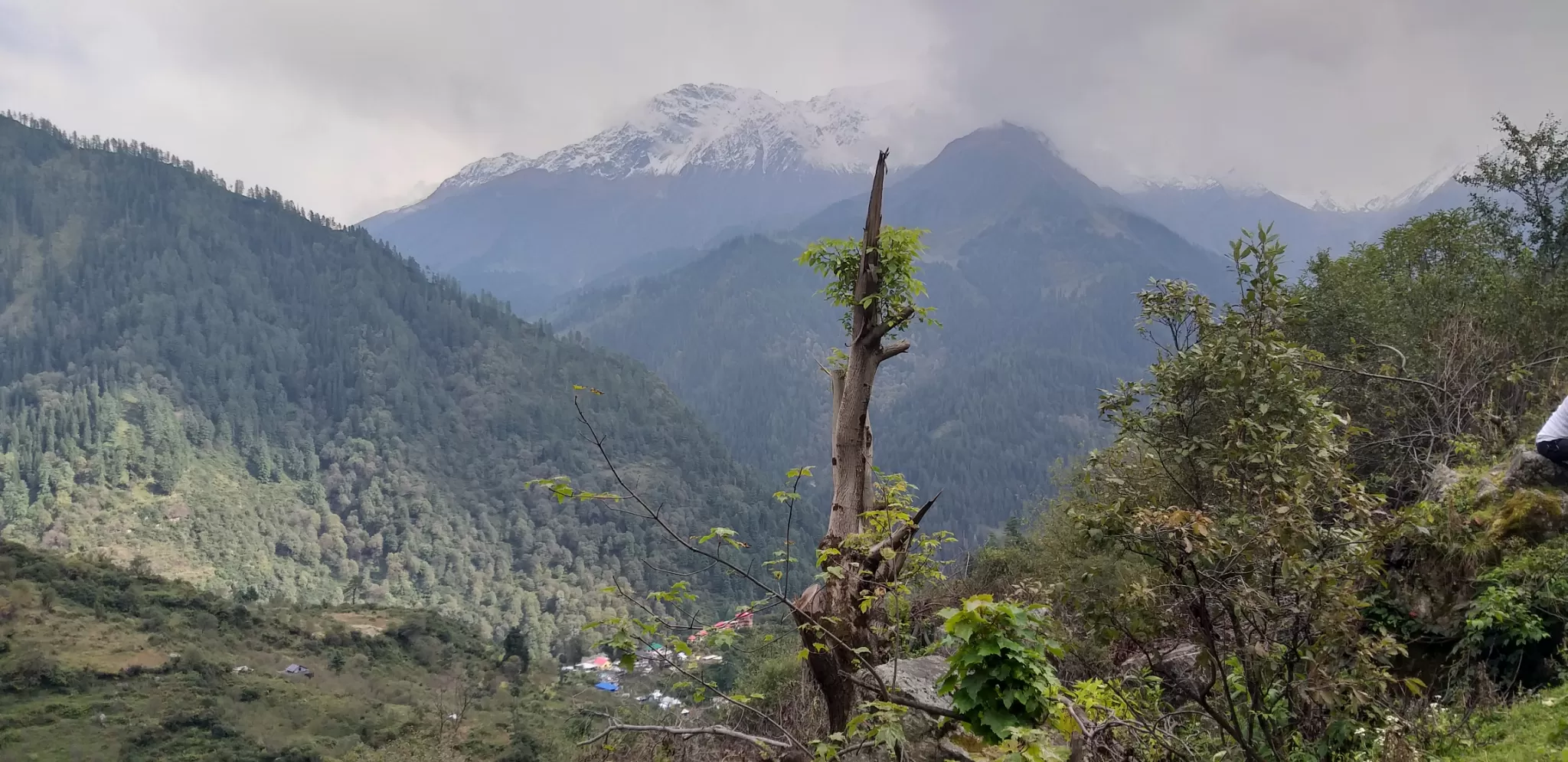 Cover Image of Vaishnaviiii