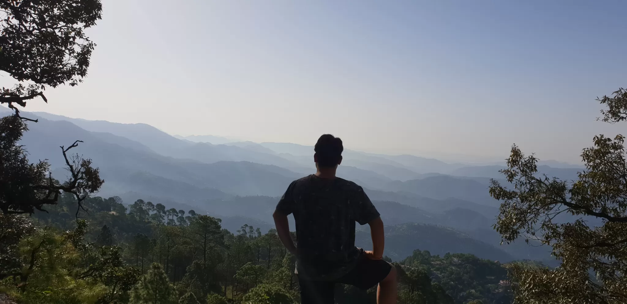 Cover Image of ankit sharma