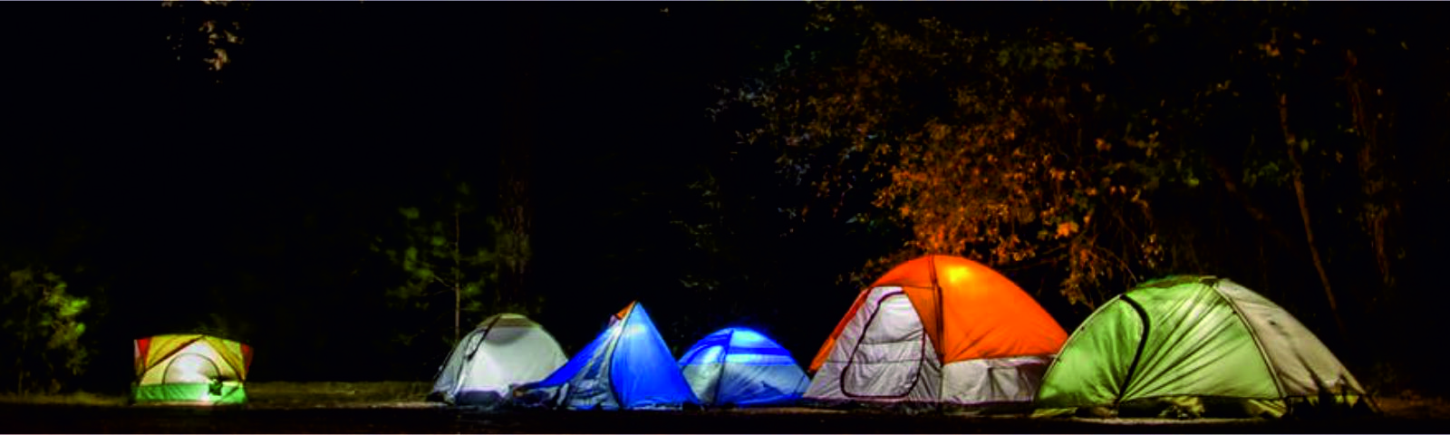 Cover Image of Travelo Tours